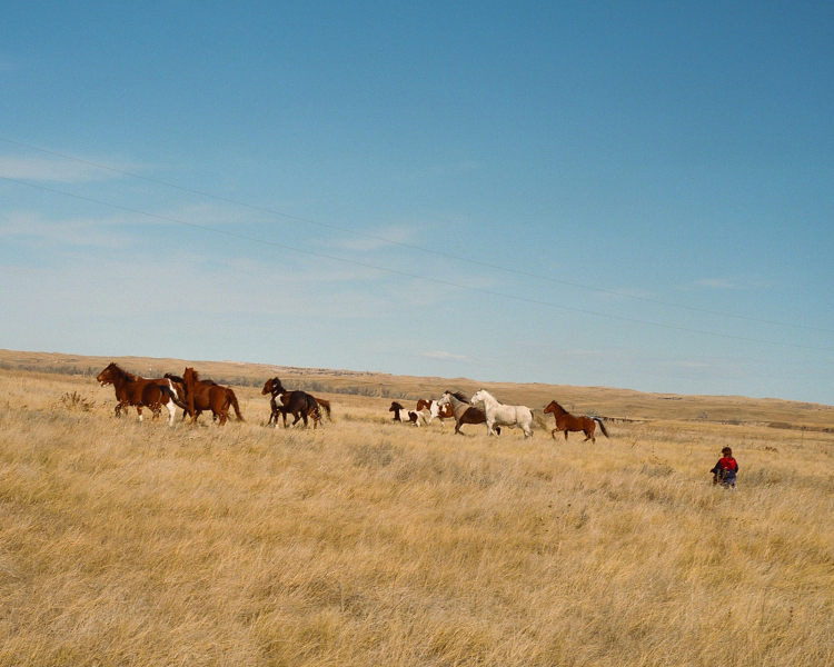 On This South Dakota Reservation, Hair Is Memory