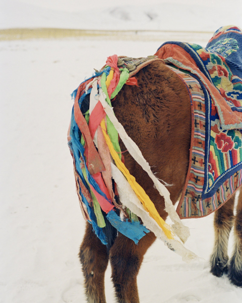 How This Tibetan Community Is Modernising A Centuries-Old Braiding Tradition